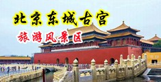 吃抽插视频入口中国北京-东城古宫旅游风景区
